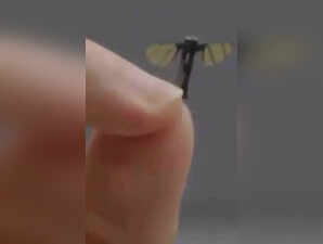 drone mikro seperti nyamuk